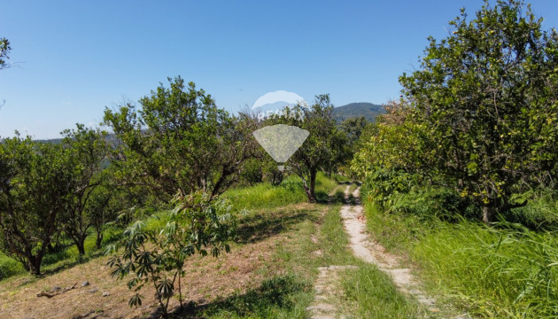 Título de Propiedad