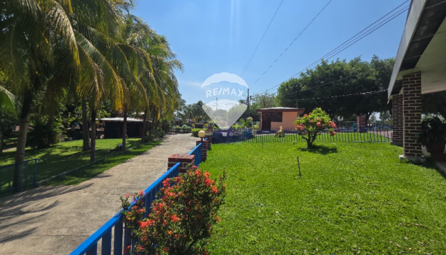 Fotografía