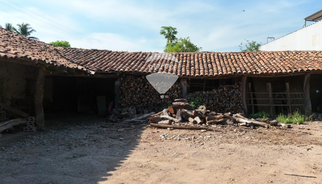 Fotografía