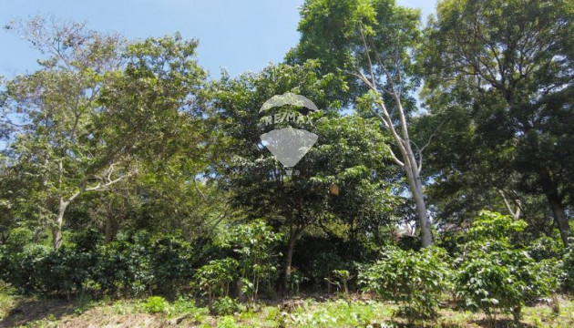 Fotografía
