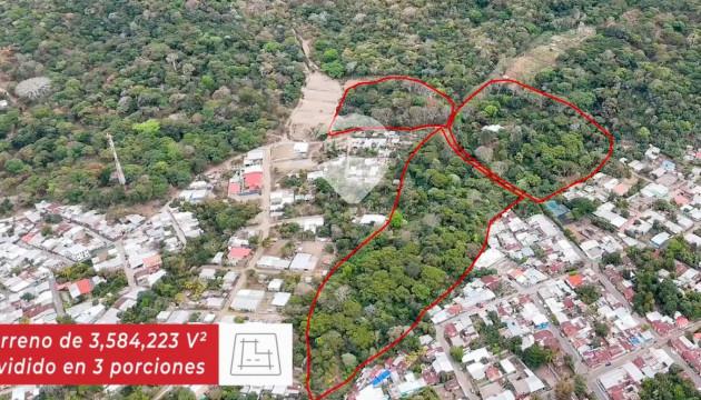 Fotografía