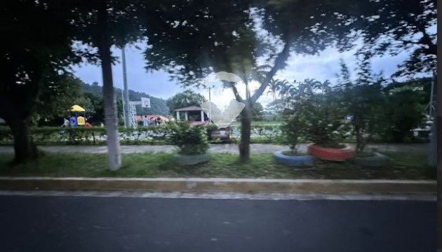 Fotografía