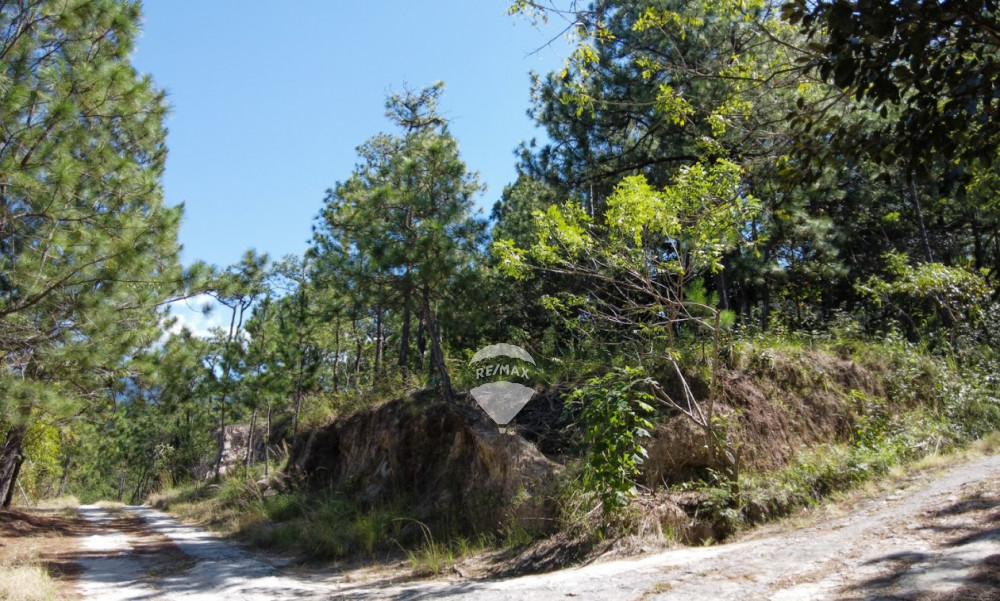 FOR SALE LA PALMA LAND