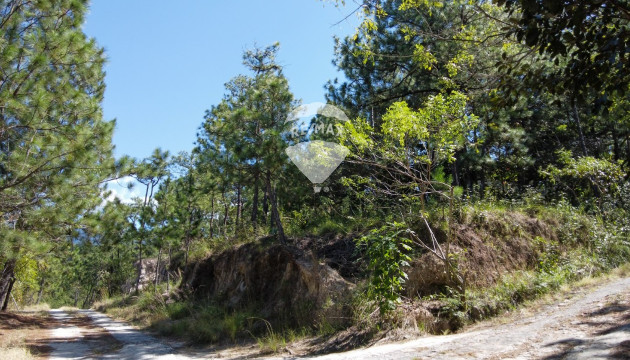 Título de Propiedad