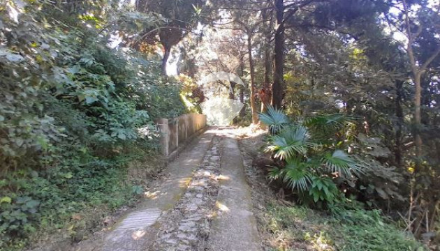 Finca de 3.43 Mzs. En Canton Los Palones