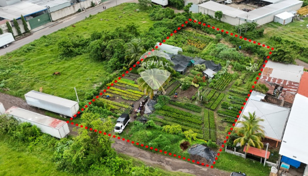 TERRENO EN VENTA NEJAPA
