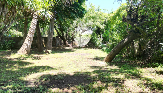 Sale of land Santa Ana