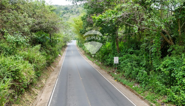 Fotografía
