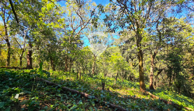 TERRENO EN VENTA EN SALCOATITAN, SONSONATE