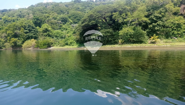 Fotografía