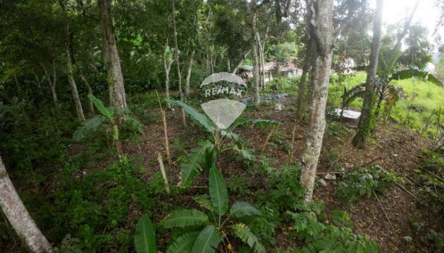 Plot of land between Sensuntepeque & Guacotecti