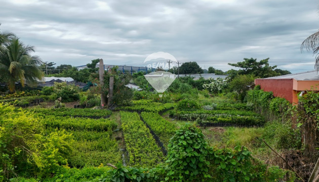Fotografía