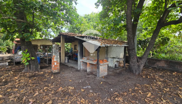 Fotografía