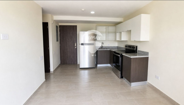 FOR RENT APARTMENT  INDIGO MASFERRER