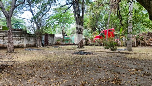 Fotografía