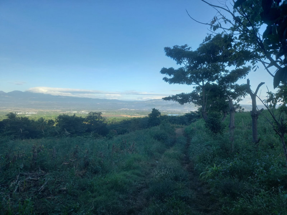 RE/MAX CAPITAL El Salvador Central America and Caribbean Real Estate