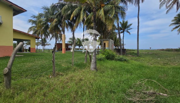Fotografía