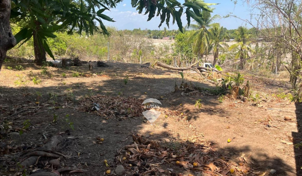 CONVENIENT 3 PLOTS OF LAND FOR SALE IN CANGREJERA, LA LIBERTAD