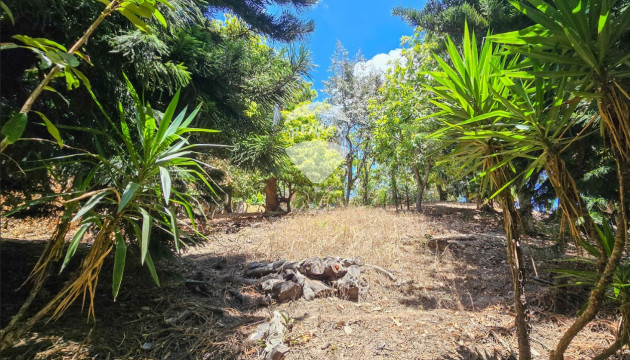 Título de Propiedad