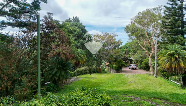 Fotografía