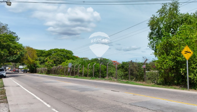 Fotografía