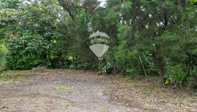 Land for Sale in residential area in Juayua