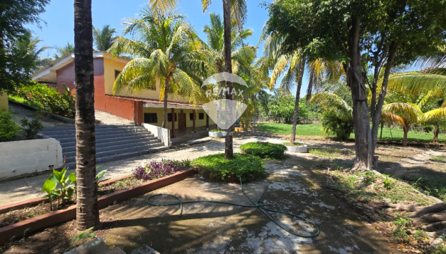 Fotografía