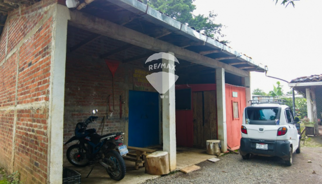 Fotografía