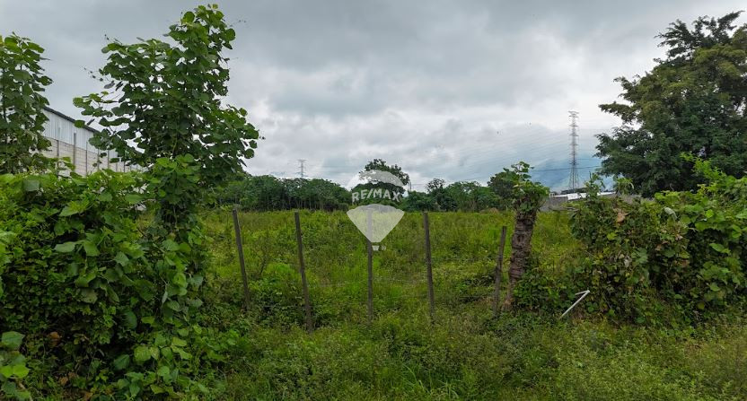 LAND FOR SALE NEJAPA