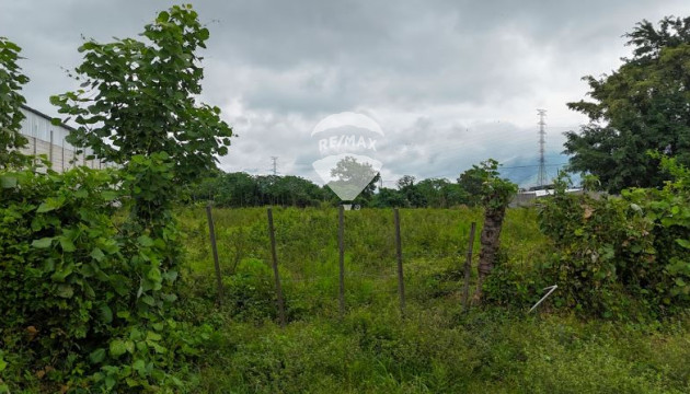 LAND FOR SALE NEJAPA