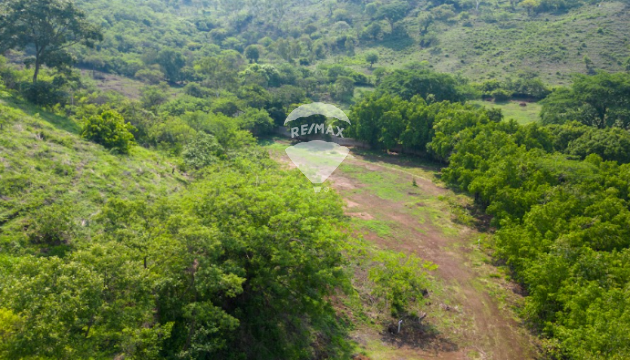 Fotografía