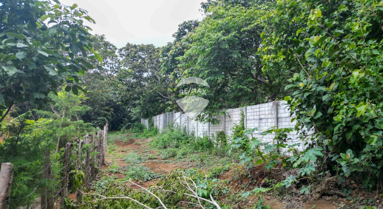 Almost flat land in Ataco for sale