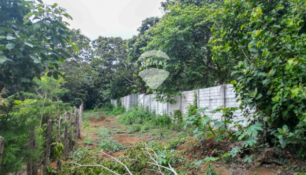 Almost flat land in Ataco for sale
