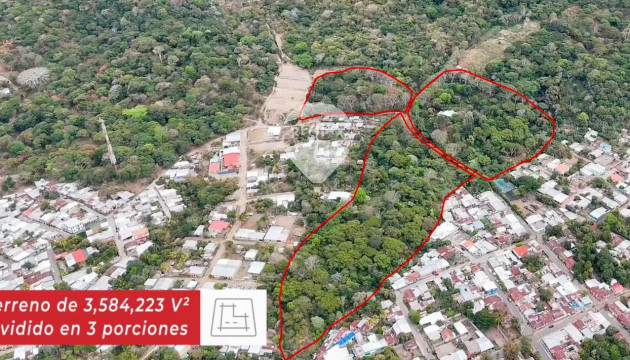 Fotografía