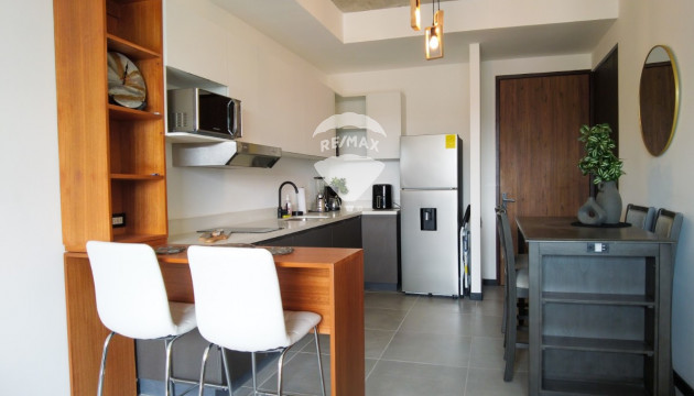 APARTAMENTO AMUEBLADO EN ALQUILER ART HAUS nivel 11