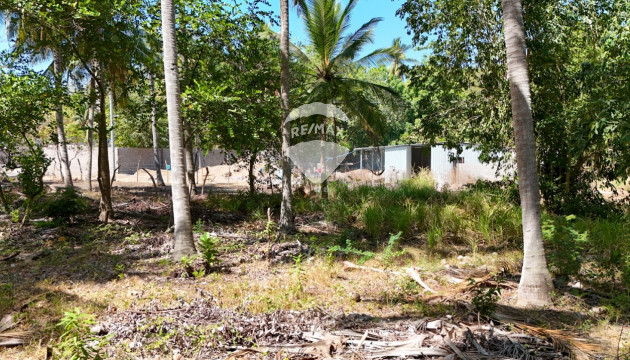 FOR SALE LAND IN BARRA DE SANTIAGO BEACH