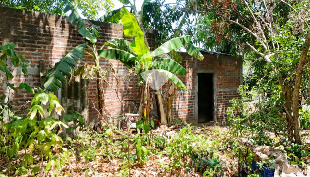 Fotografía