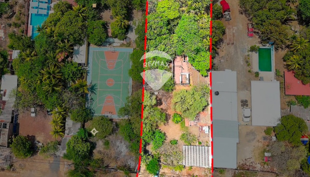 Fotografía