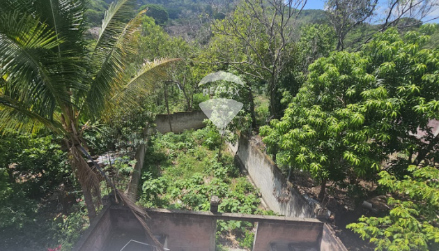 Fotografía