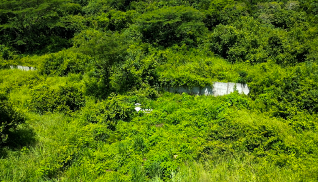 Fotografía