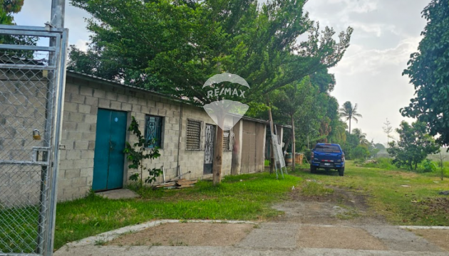 Fotografía