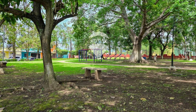 Fotografía