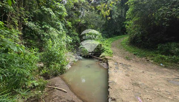 Fotografía