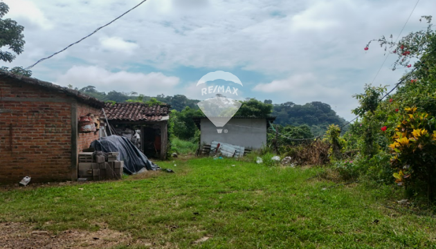 Fotografía
