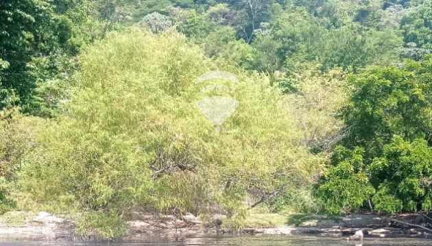 Fotografía