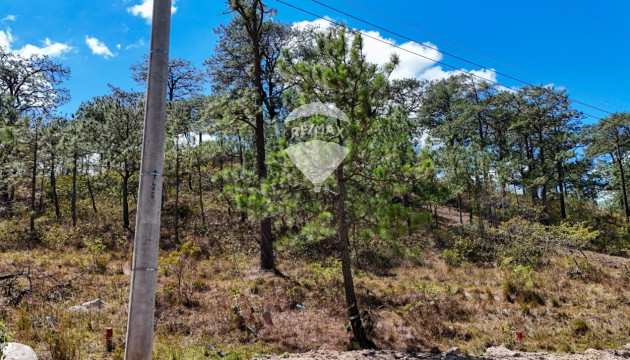 VENDO TERRENO EN PARCELACIÓN EL ESPINO III, LA PALMA, CHALATENANGO