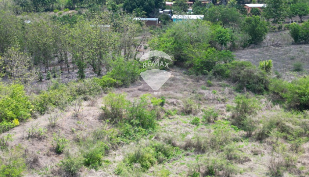 Fotografía
