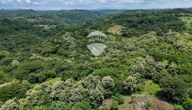 Título de Propiedad