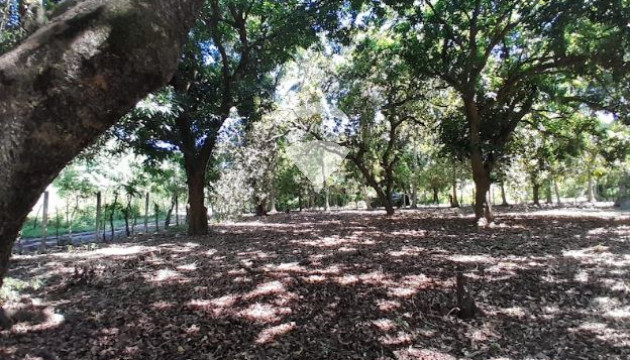 Fotografía