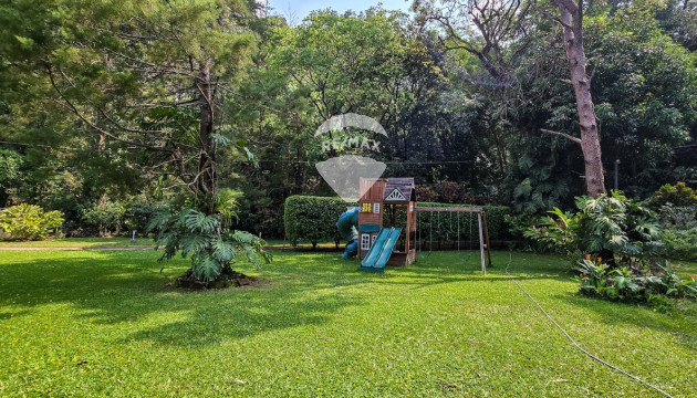 Fotografía